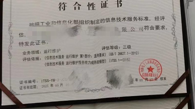 信息技术服务收费标准：揭秘背后的考量因素**